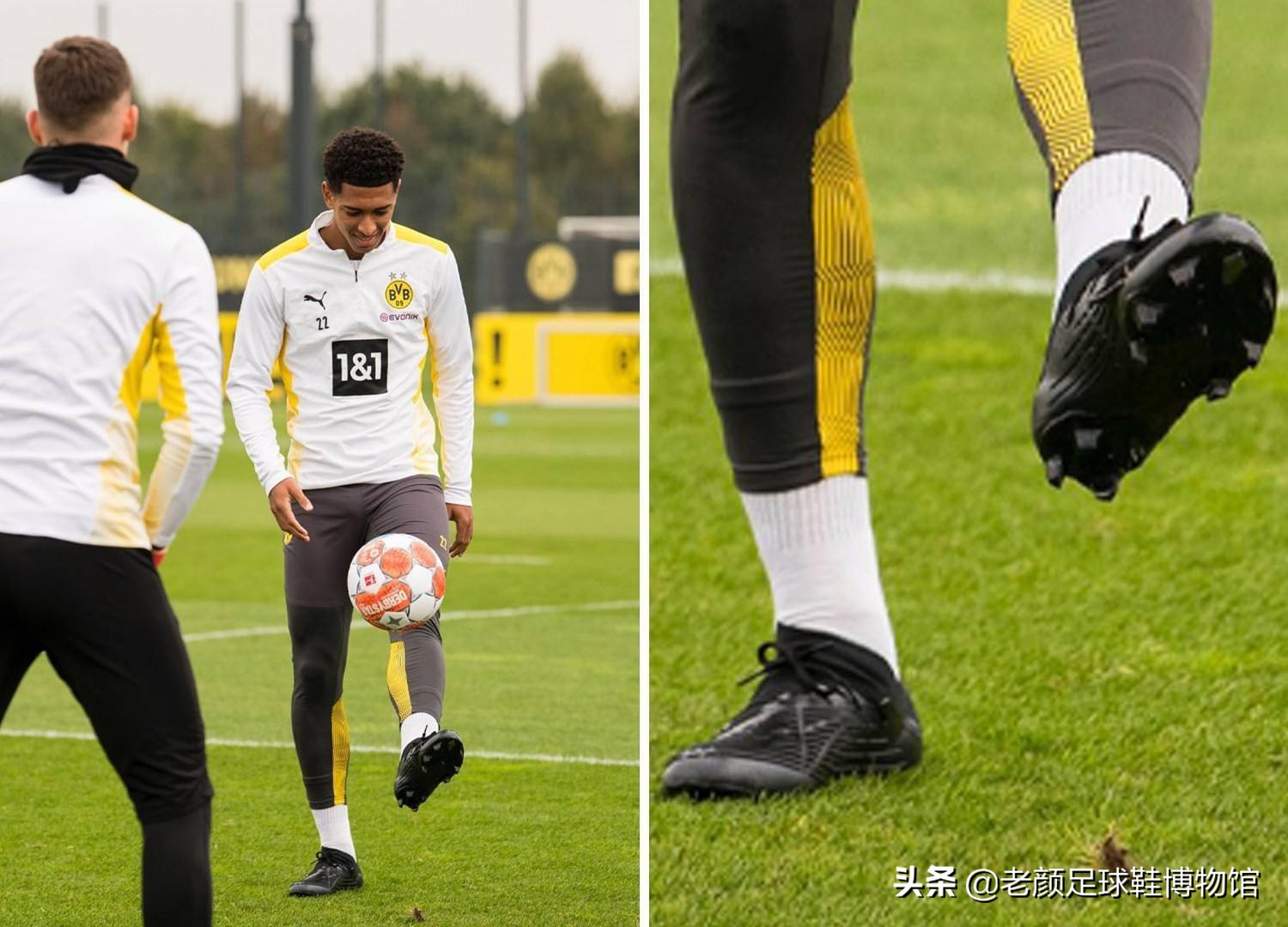 球迷的目光 球迷的目光